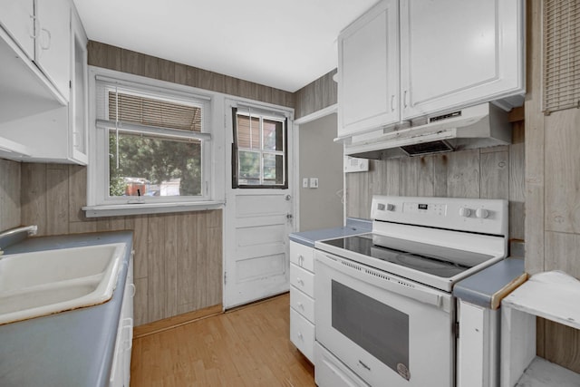 1433 Willow Ave, Des Plaines, IL 60016 - photo 11