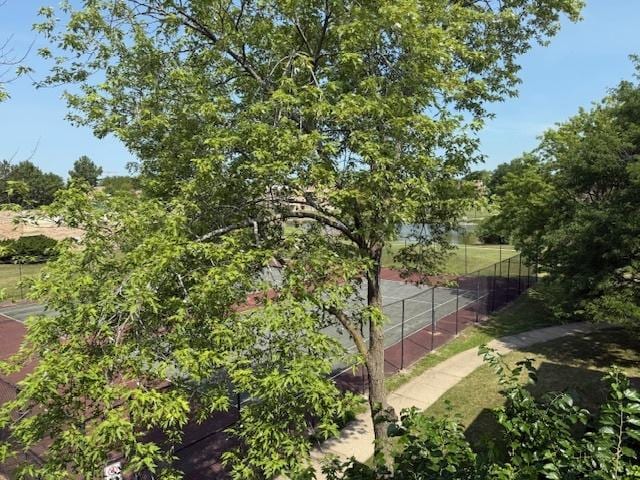 1810 Hemlock Pl Unit 304, Schaumburg, IL 60173 - photo 17