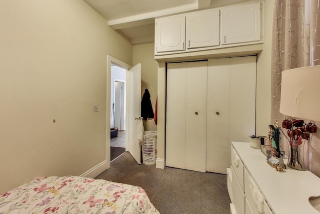 262-64 Spring St, Elgin, IL 60120 - photo 30