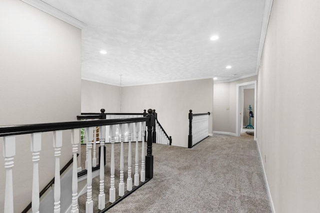 9132 Smokethorn Trl, Belvidere, IL 61008 - photo 23