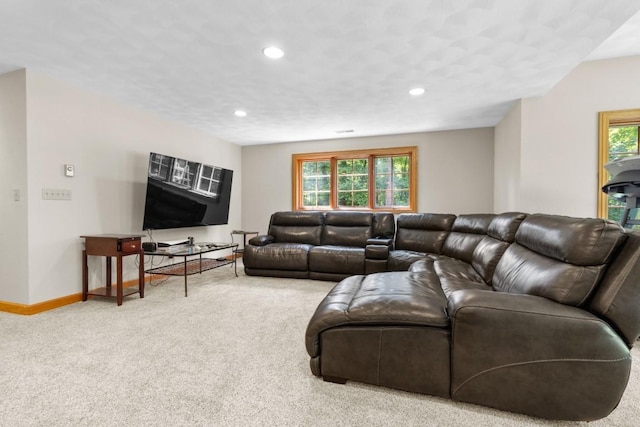 9132 Smokethorn Trl, Belvidere, IL 61008 - photo 39