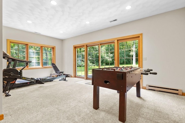 9132 Smokethorn Trl, Belvidere, IL 61008 - photo 40