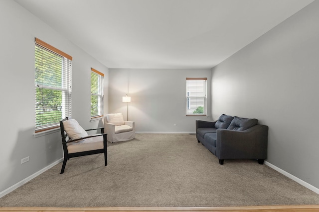 734 Lenox Ave, Bolingbrook, IL 60490 - photo 9