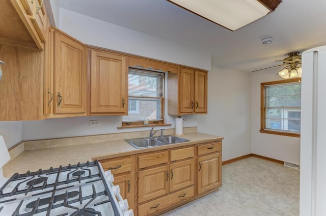 417 S Princeton Ave, Itasca, IL 60143 - photo 15