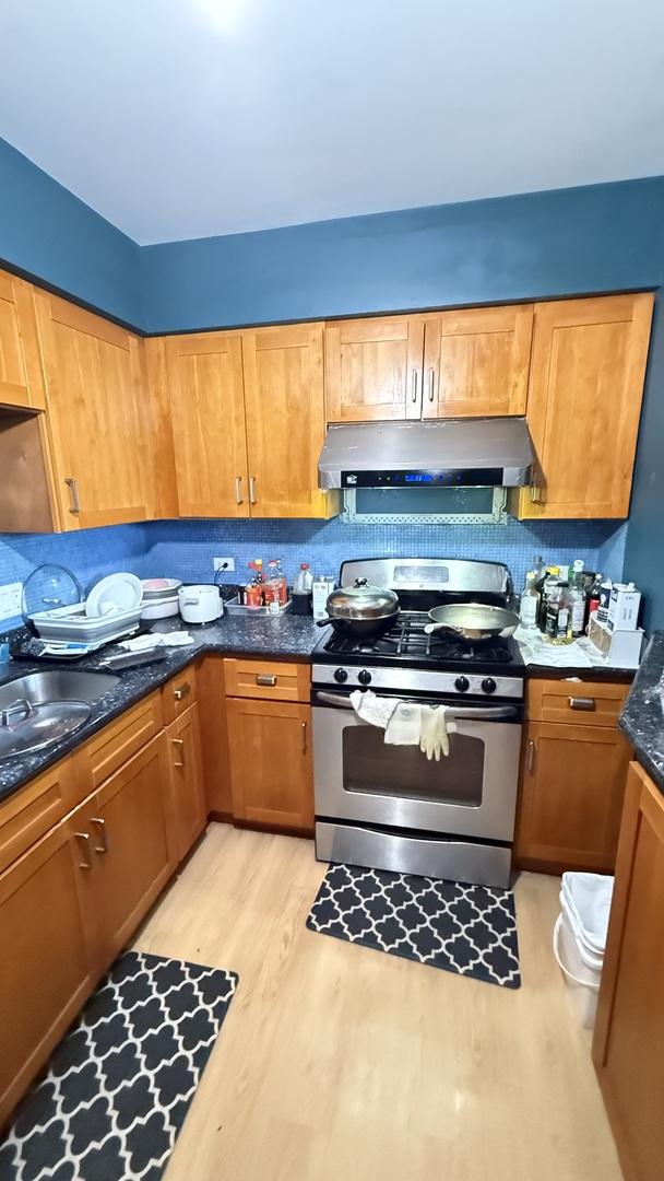 2543 S Wallace St Unit 11, Chicago, IL 60616 - photo 4