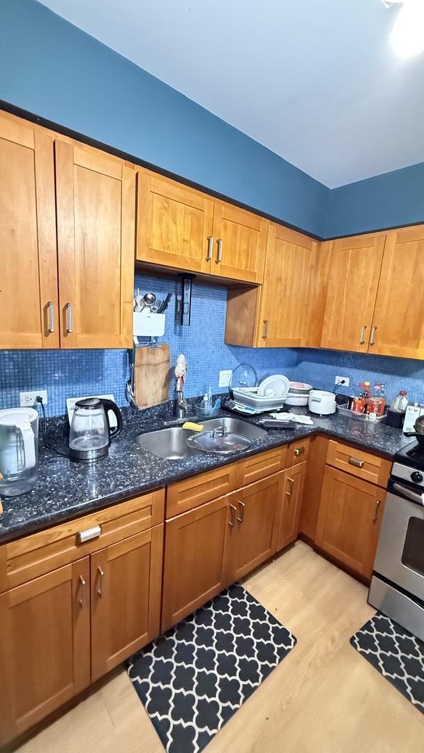 2543 S Wallace St Unit 11, Chicago, IL 60616 - photo 5