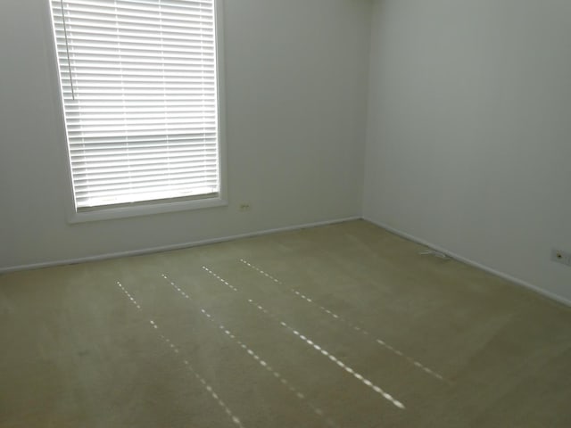 6330 N Lincoln Ave Unit 2A, Morton Grove, IL 60053 - photo 23