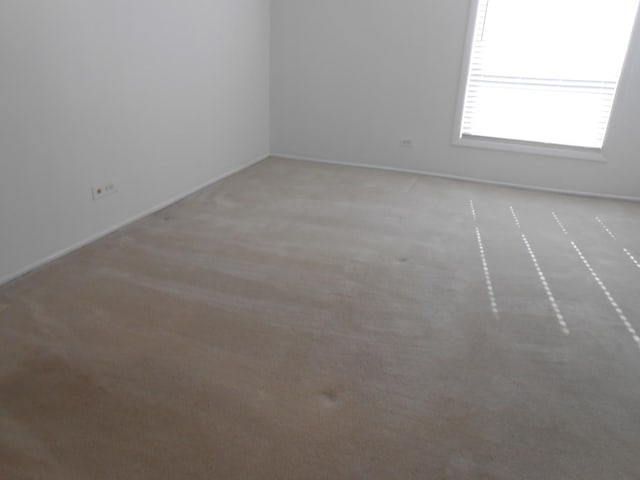 6330 N Lincoln Ave Unit 2A, Morton Grove, IL 60053 - photo 25