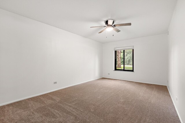 9199 N Rd Unit B, Palos Hills, IL 60465 - photo 14