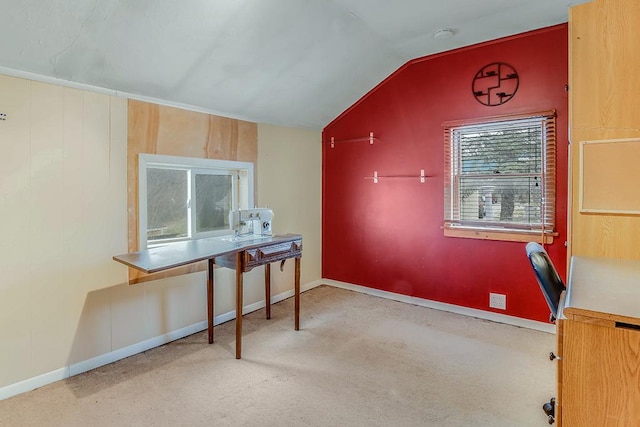 906 E Illinois St, Lemont, IL 60439 - photo 20
