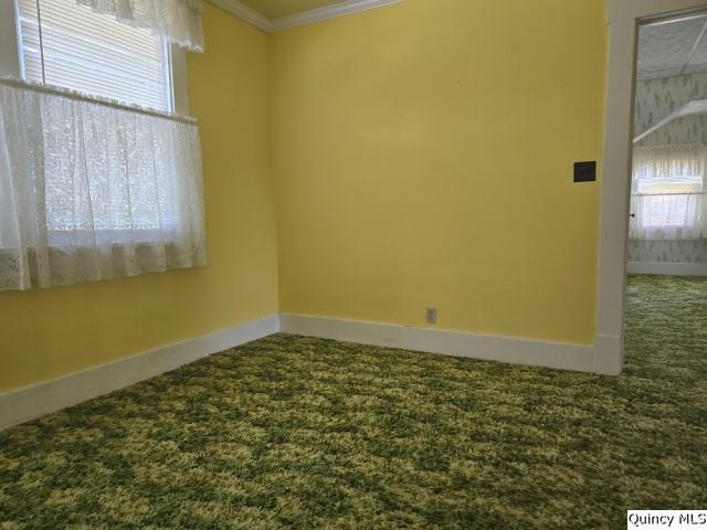 118 S Fayette St, Carthage, IL 62321 - photo 18