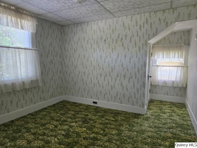 118 S Fayette St, Carthage, IL 62321 - photo 19