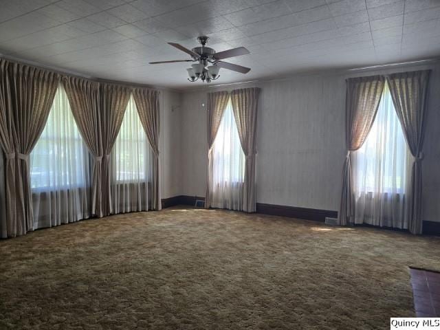 118 S Fayette St, Carthage, IL 62321 - photo 3