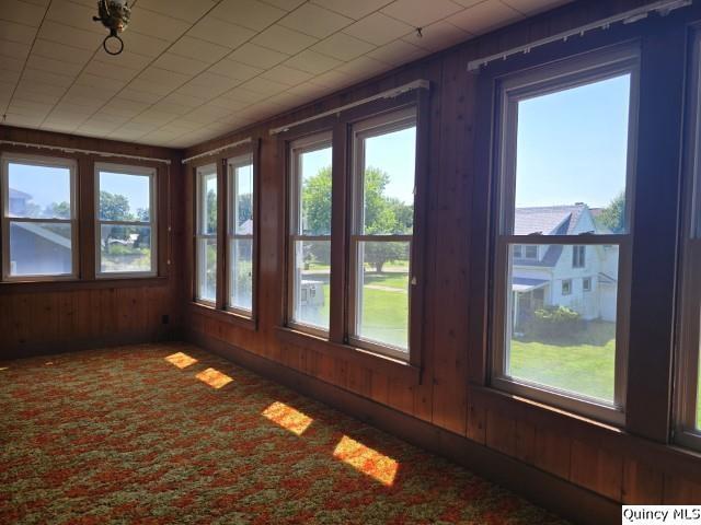 118 S Fayette St, Carthage, IL 62321 - photo 24