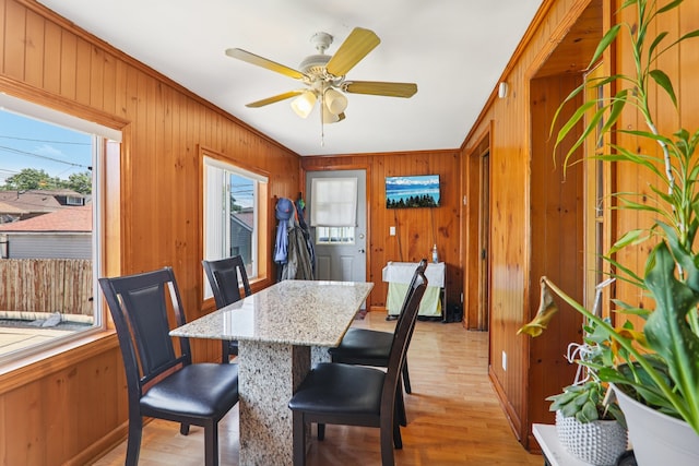 4517 N Austin Ave, Chicago, IL 60630 - photo 11