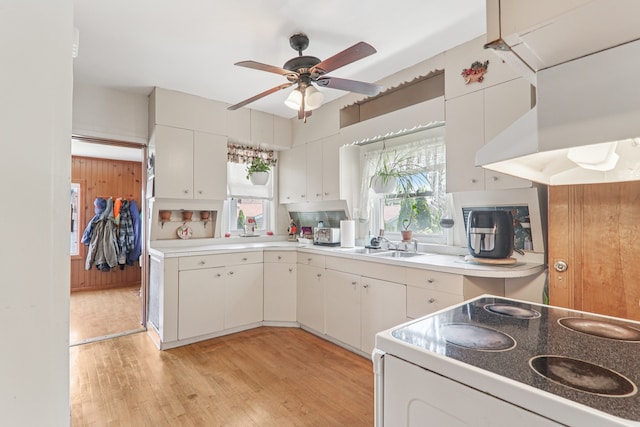 4517 N Austin Ave, Chicago, IL 60630 - photo 9
