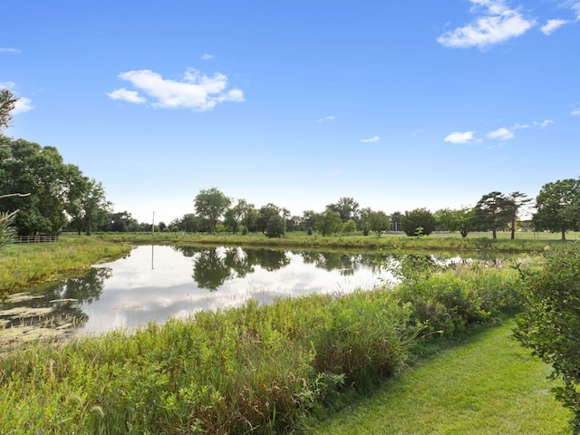 310 Lakeview Ct, Buffalo Grove, IL 60089 - photo 26