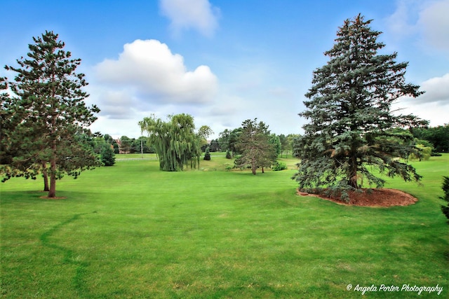 4119 White Ash Rd, Crystal Lake, IL 60014 - photo 34