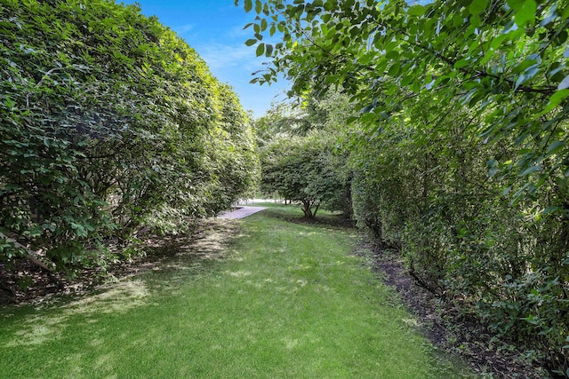 372 Longacres Ln, Palatine, IL 60067 - photo 40
