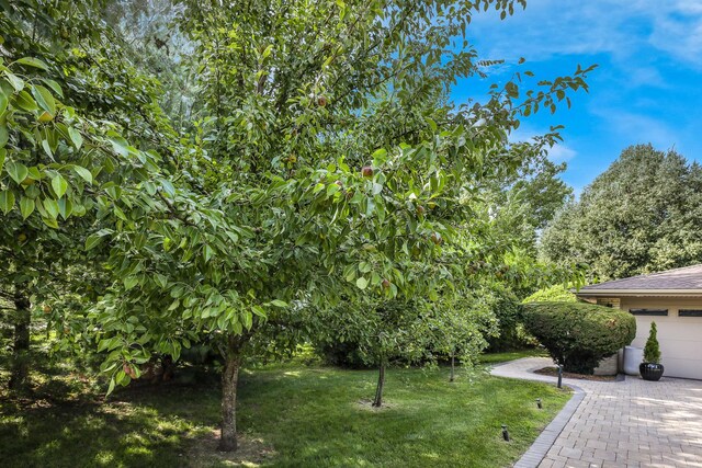 372 Longacres Ln, Palatine, IL 60067 - photo 42