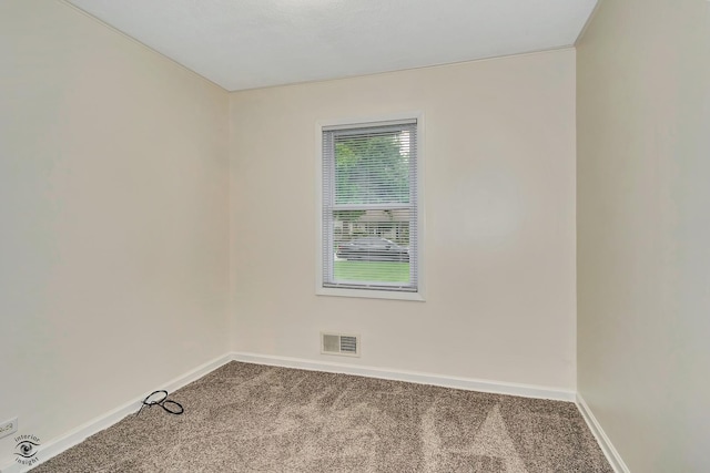 12127 S Nagle Ave, Palos Heights, IL 60463 - photo 11