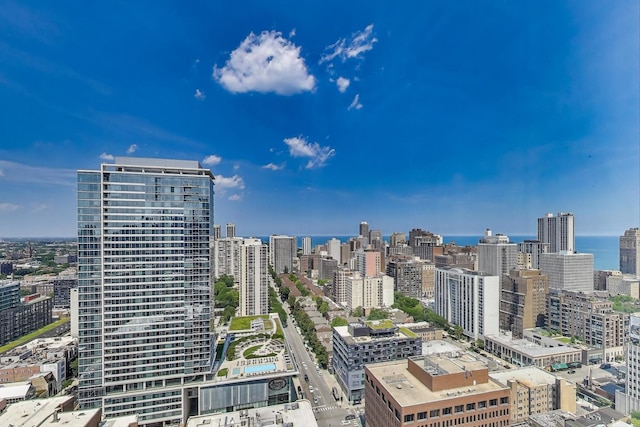 1122 N Clark St Unit 3304, Chicago, IL 60610 - photo 11