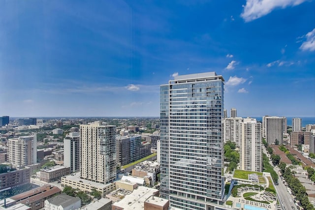 1122 N Clark St Unit 3304, Chicago, IL 60610 - photo 12