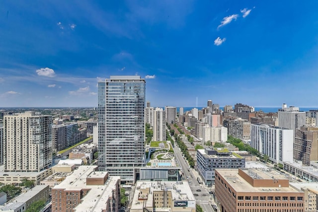 1122 N Clark St Unit 3304, Chicago, IL 60610 - photo 5