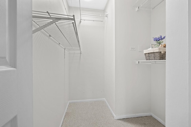 900 Casey Ct Unit 27-06, Schaumburg, IL 60173 - photo 13