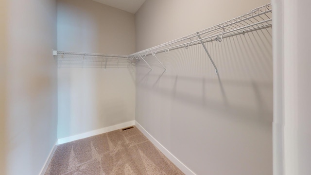 LOT8-3 Orchid Ln Unit 3, Channahon, IL 60410 - photo 18