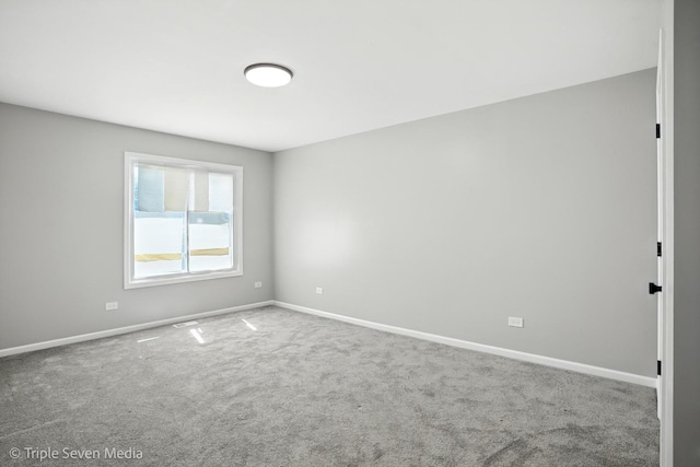 10 Cour Masson, Palos Hills, IL 60465 - photo 17