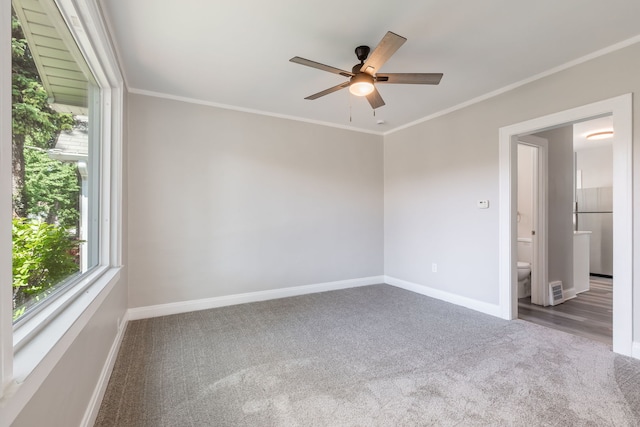 2431 N New England Ave, Chicago, IL 60707 - photo 3