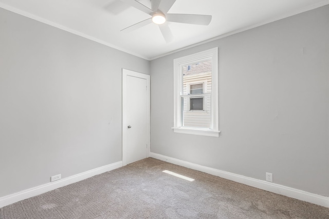 2431 N New England Ave, Chicago, IL 60707 - photo 5