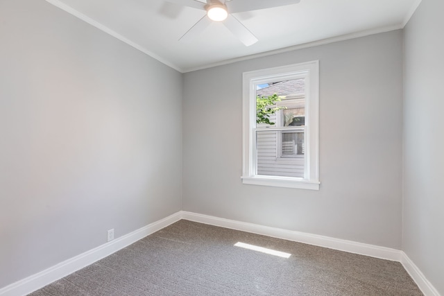 2431 N New England Ave, Chicago, IL 60707 - photo 7