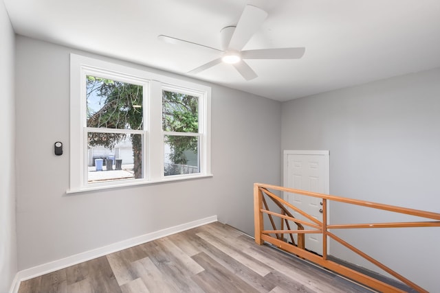2431 N New England Ave, Chicago, IL 60707 - photo 10