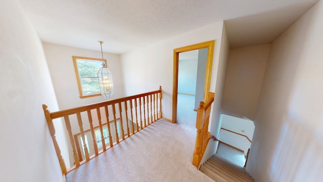 4103 Crail Rd, Champaign, IL 61822 - photo 43