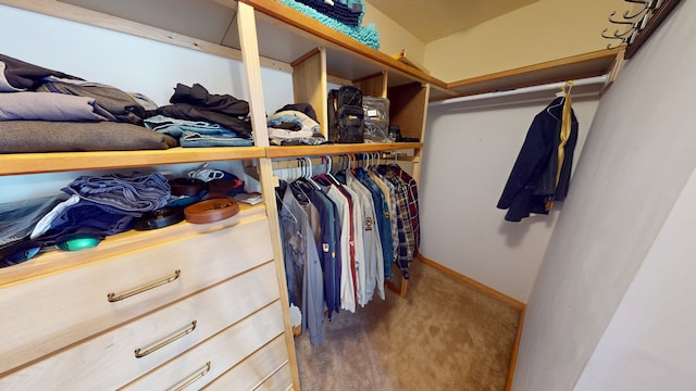 4103 Crail Rd, Champaign, IL 61822 - photo 50