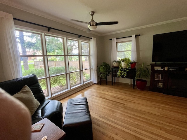 35W764 W Highland Ave, Elgin, IL 60123 - photo 11