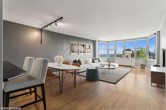 525 W Hawthorne Pl Unit 2905, Chicago, IL 60657 - photo 6