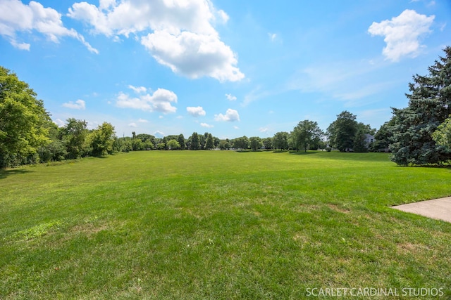 2328 Woodhill Ct, Plainfield, IL 60586 - photo 22