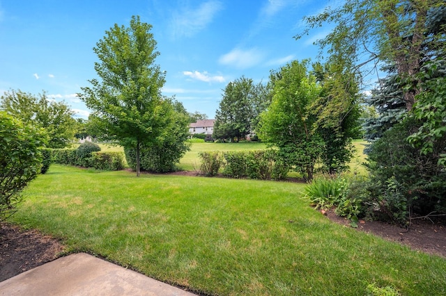 1803 Vermont Dr, Elk Grove Village, IL 60007 - photo 27