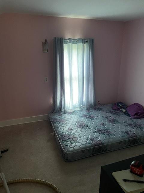 219 W Railroad St, Sheffield, IL 61361 - photo 14