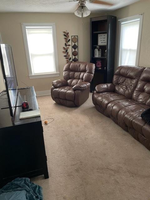 219 W Railroad St, Sheffield, IL 61361 - photo 10