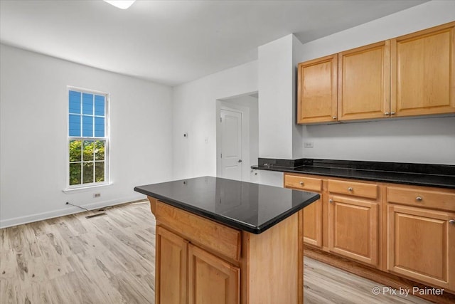 309 Griswold St, Elgin, IL 60123 - photo 9