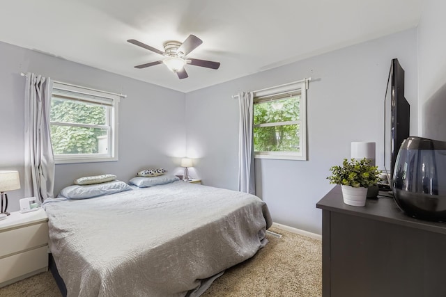 31 Sparrow Ct, Carpentersville, IL 60110 - photo 13