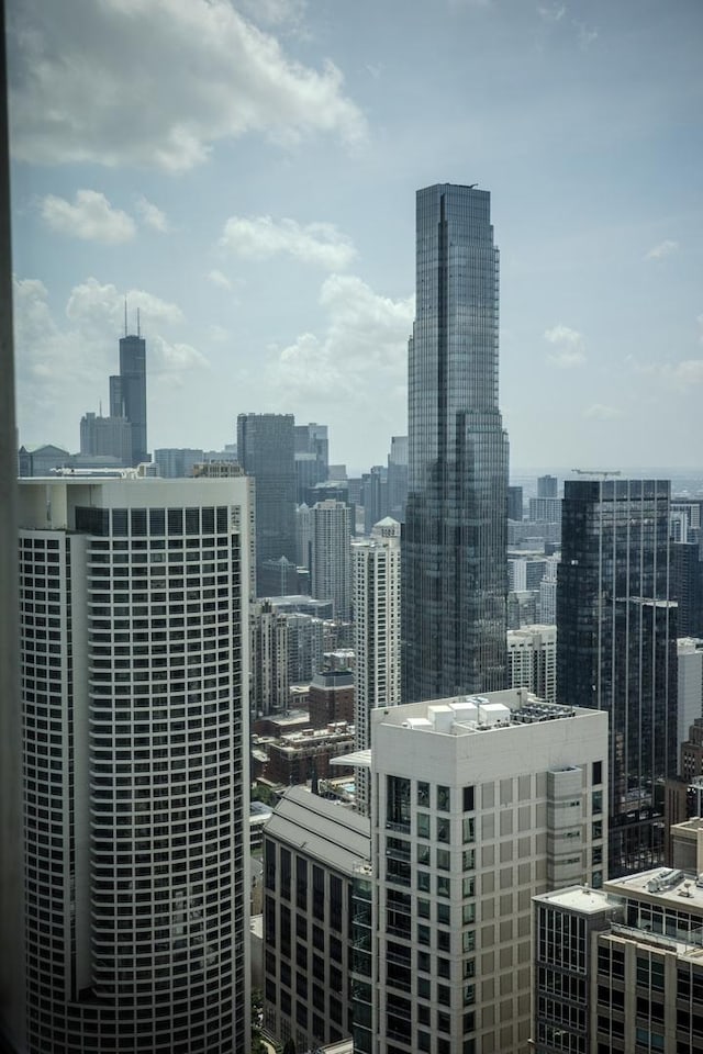 132 E Delaware Pl Unit 4905, Chicago, IL 60611 - photo 44