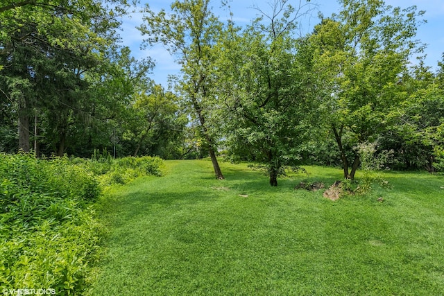 21704 N Pine Grove Ct, Kildeer, IL 60047 - photo 13