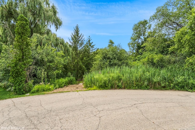 21704 N Pine Grove Ct, Kildeer, IL 60047 - photo 4
