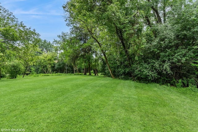 21704 N Pine Grove Ct, Kildeer, IL 60047 - photo 10
