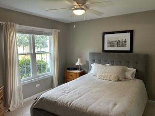21008 W Hazelnut Ln, Plainfield, IL 60544 - photo 20